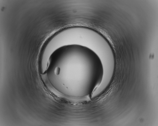 X0000099450395200806061111