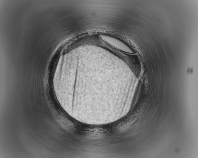 X0000099450396200806061111