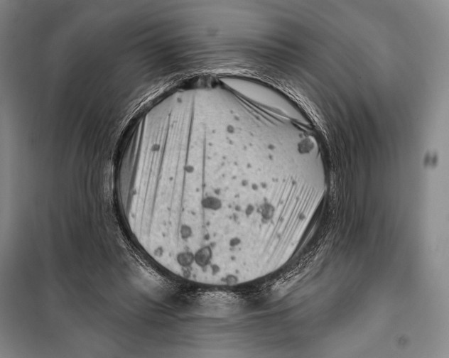 X0000099450397200806061111