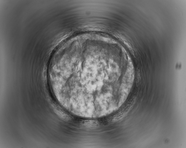 X0000099450398200806061111