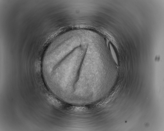 X0000099450401200806061111