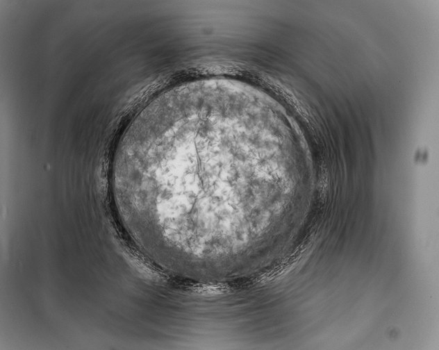 X0000099450402200806061111