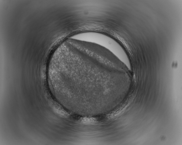 X0000099450403200806061111