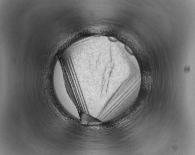 X0000099450404200806061111