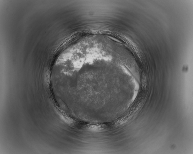 X0000099450405200806061111