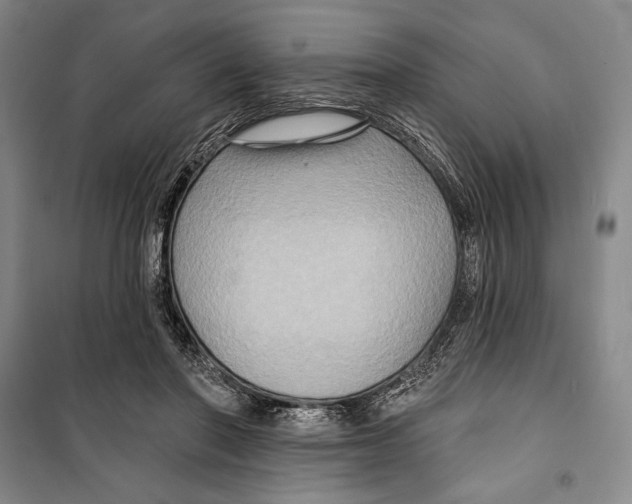 X0000099450406200806061110