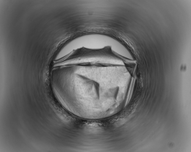 X0000099450407200806061110