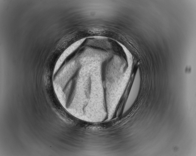 X0000099450408200806061110