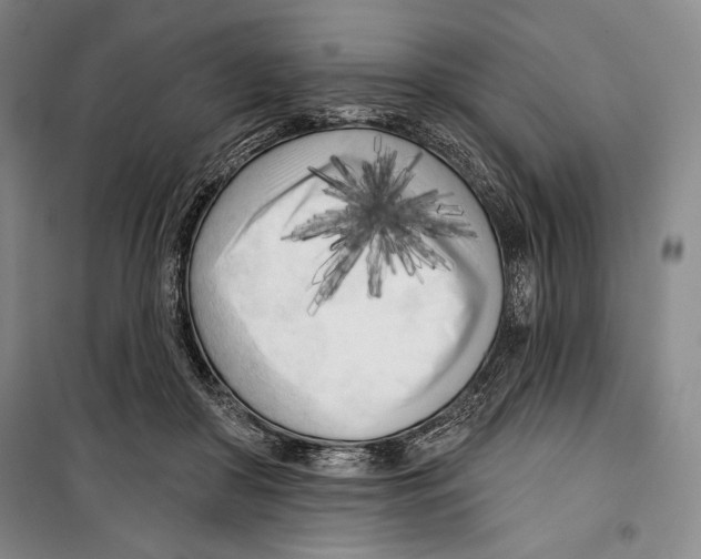 X0000099450410200806061110