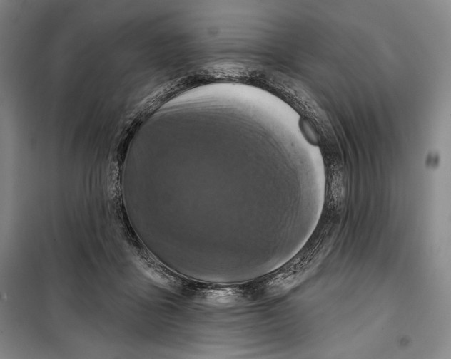 X0000099450411200806061110