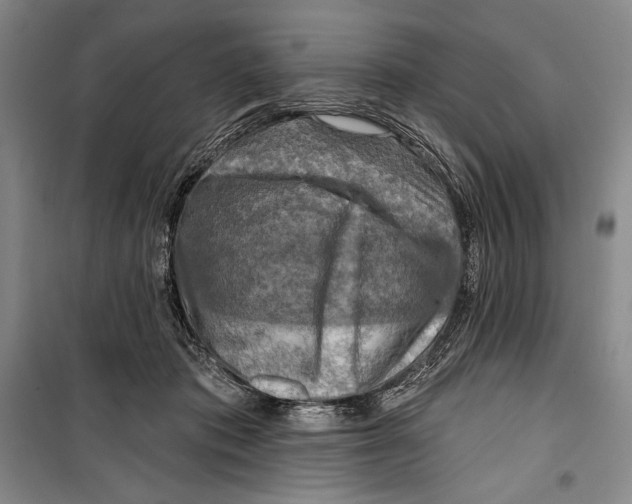 X0000099450413200806061110