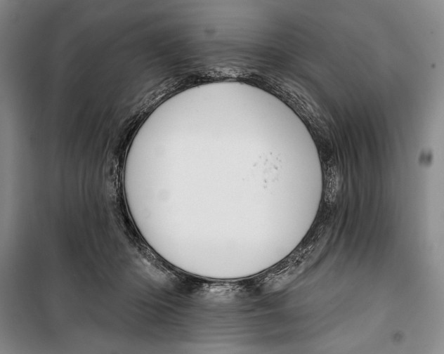 X0000099450414200806061110