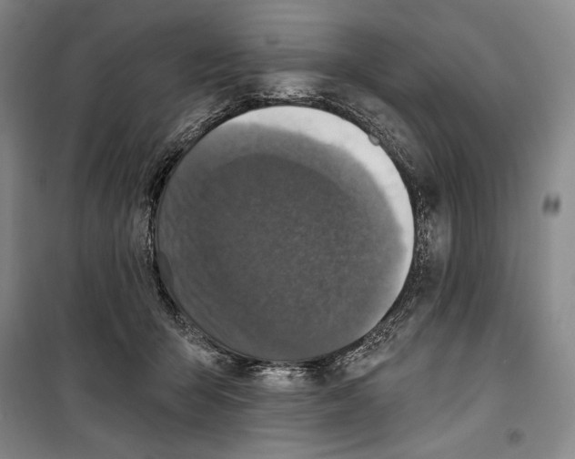 X0000099450415200806061110