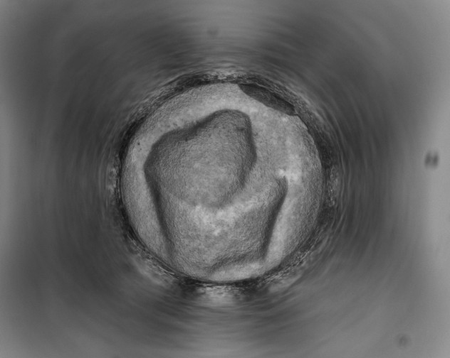 X0000099450417200806061110