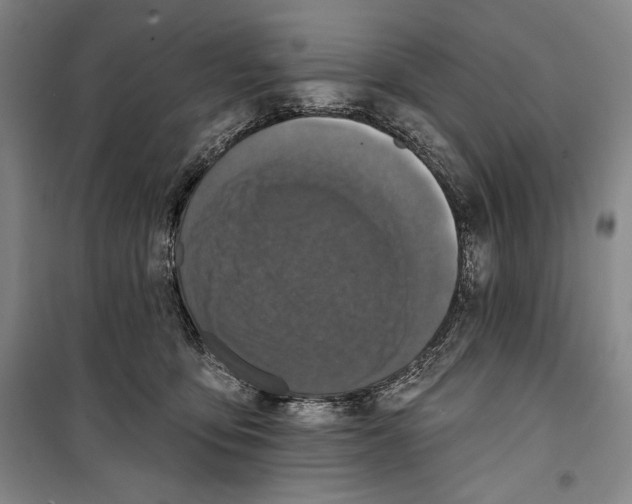 X0000099450419200806061110