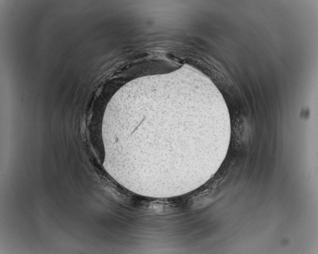 X0000099450420200806061110