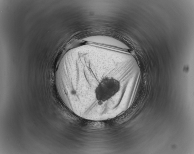 X0000099450421200806061110