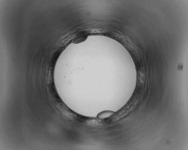 X0000099450422200806061110