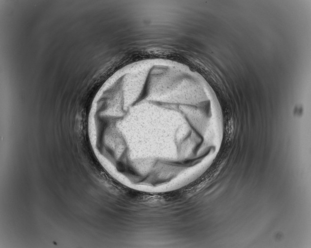 X0000099450424200806061110