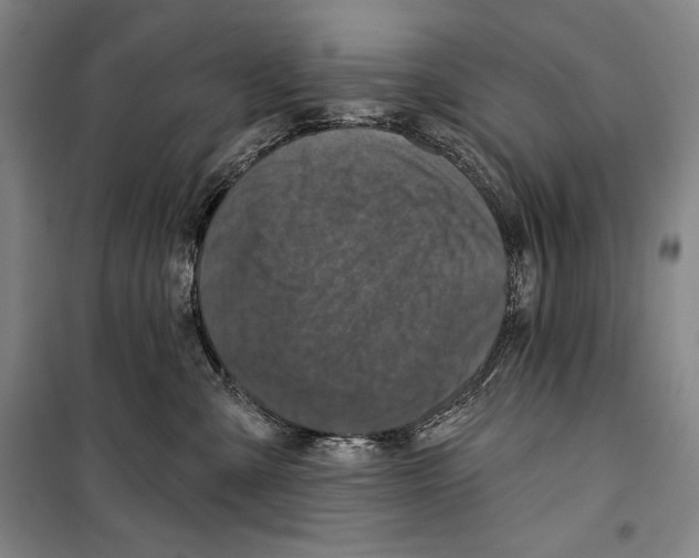 X0000099450427200806061110