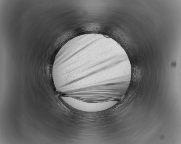 X0000099450428200806061110