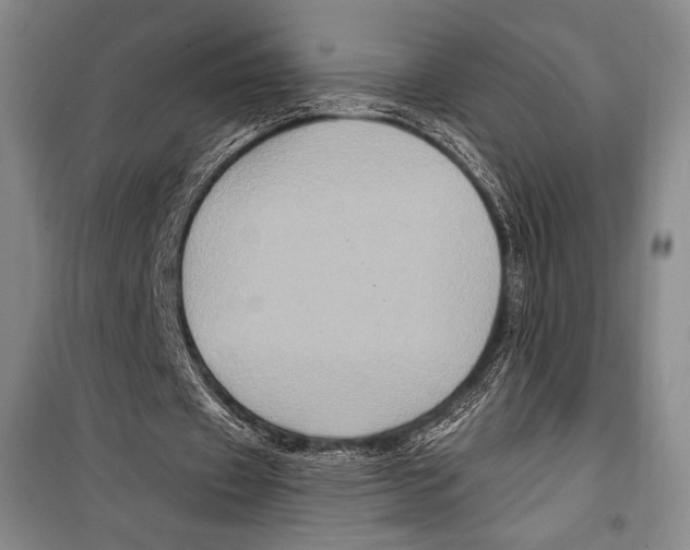 X0000099450433200806061109