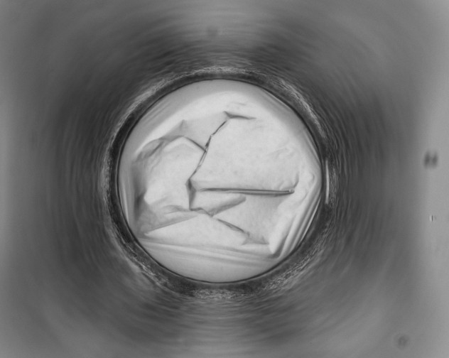 X0000099450435200806061109