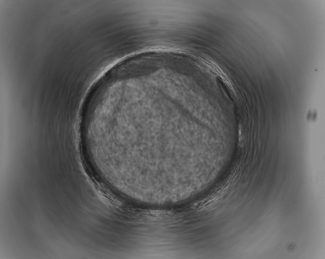 X0000099450436200806061109