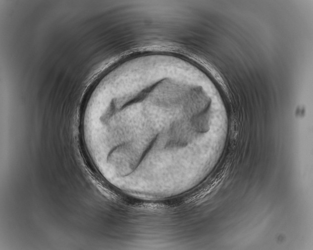 X0000099450437200806061109