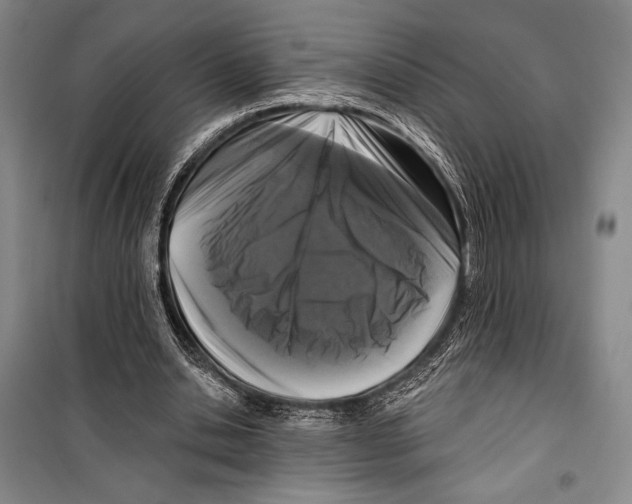 X0000099450438200806061109