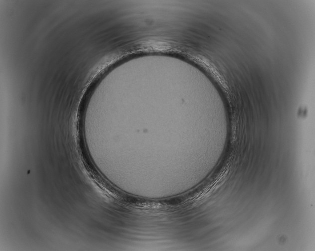 X0000099450439200806061109