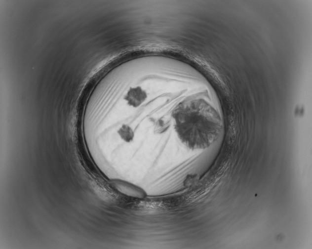 X0000099450440200806061109