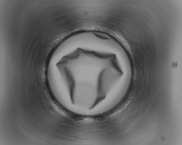 X0000099450441200806061110