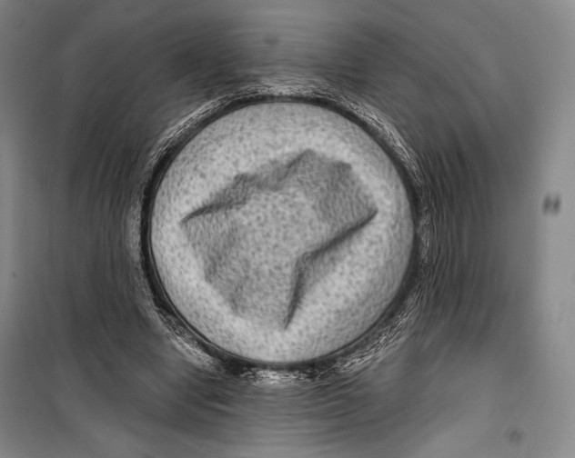 X0000099450442200806061110