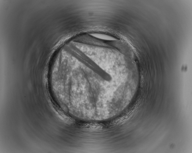 X0000099450443200806061110