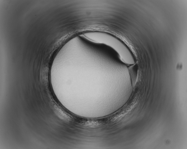 X0000099450445200806061110