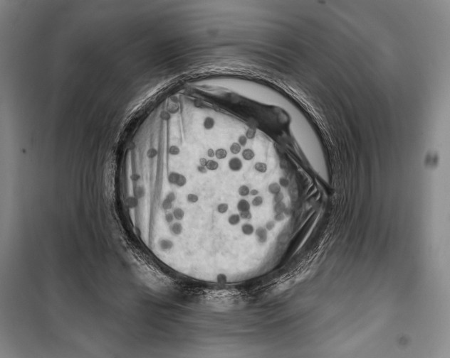 X0000099450446200806061110