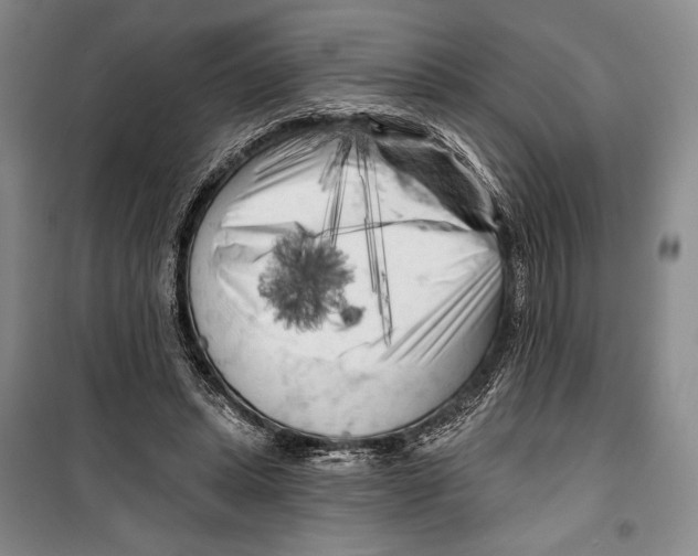 X0000099450447200806061110