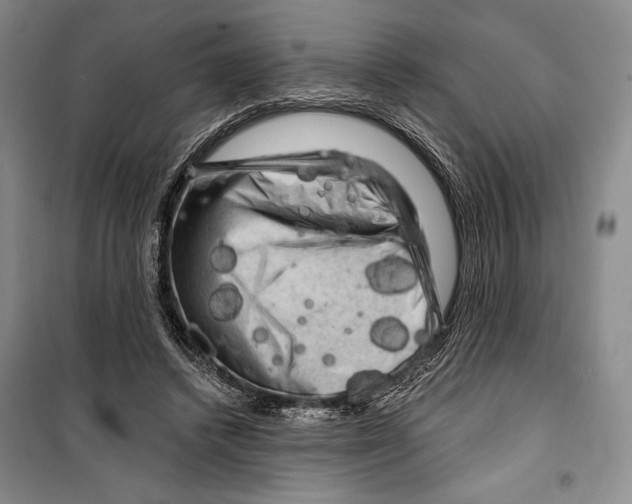 X0000099450448200806061110