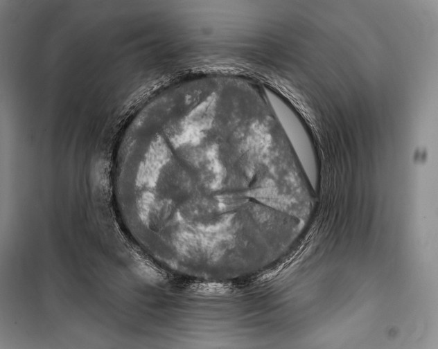 X0000099450449200806061110