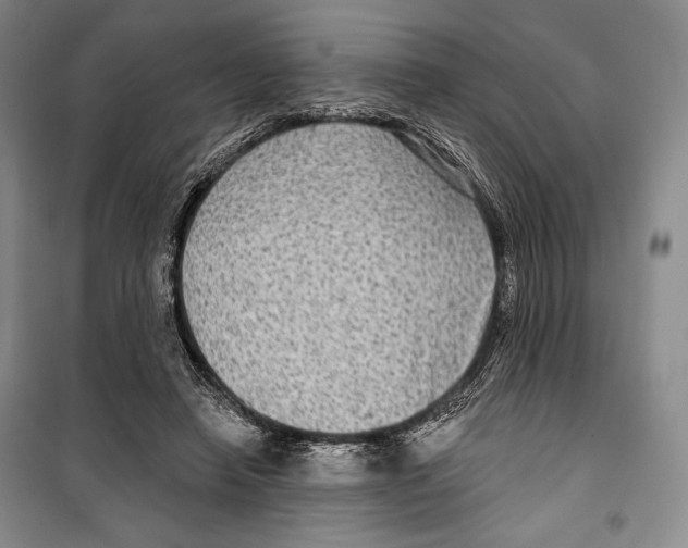 X0000099450450200806061110