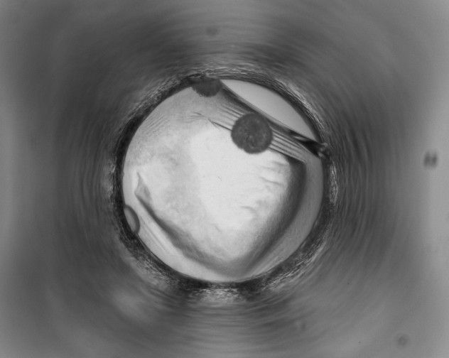 X0000099450451200806061110