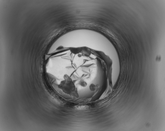 X0000099450452200806061110