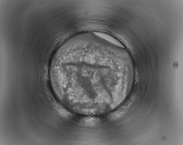 X0000099450453200806061110