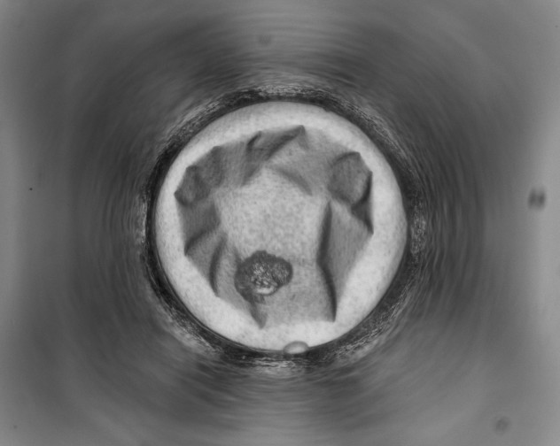 X0000099450454200806061110