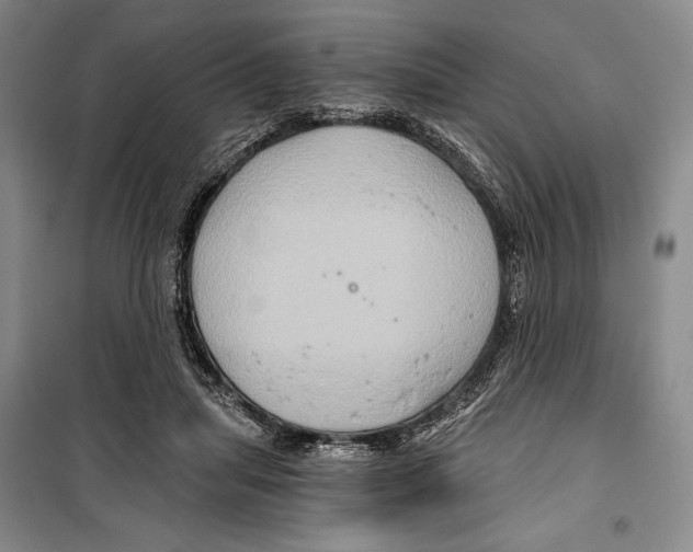 X0000099450455200806061110