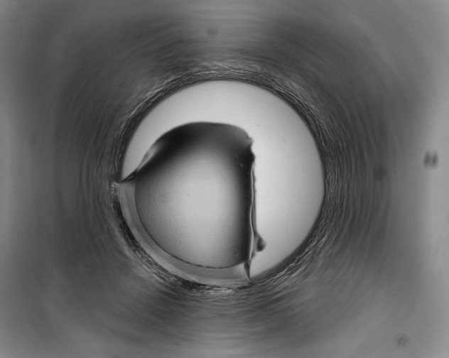 X0000099450456200806061110