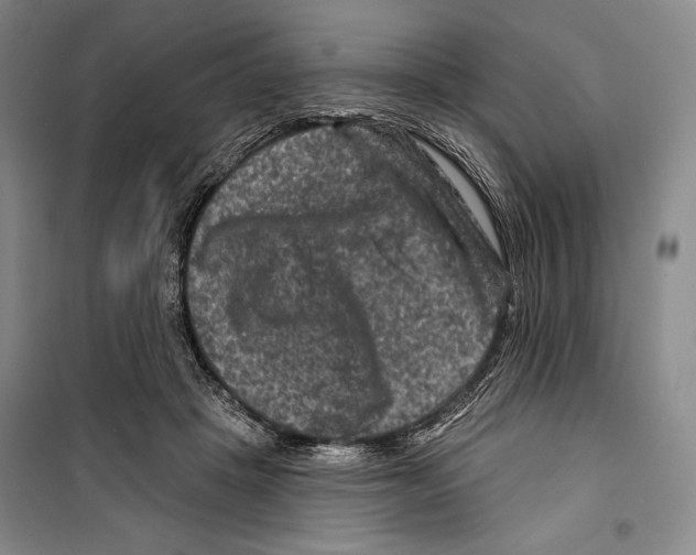 X0000099450457200806061110