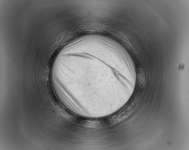 X0000099450458200806061110