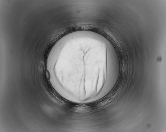 X0000099450459200806061110